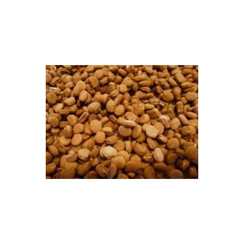 Dairyland American Ginseng Seed!! Stratified, Ready to Plant, Grow Your own Wild Ginseng!! (10 lb) Cover