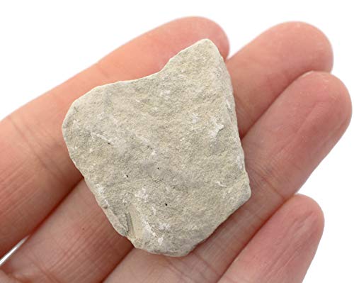 Image of EISCO 6PK Raw Limestone Chalk, Sedimentary Rock Specimens - Approx. 1 inch - Geologist Selected & Hand Processed - Great for Science Classrooms - Class Pack Labs