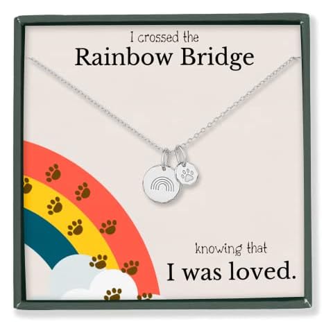 Rainbow Bridge Pet Memorial Necklace Sterling Silver- Dog Sympathy Gifts, Loss of Pet, Cat Memorial Jewelry for Women - Dog Dad & Dog Mom Necklace for Death of a Pet Cover
