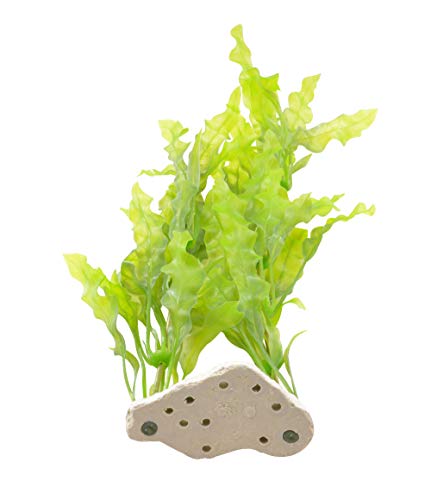 Cnz Aquarium Decor Fish Tank Decoration Ornament Artificial Plastic Plant 17.5-Inch Java Fern, 2-Pack #TOP3