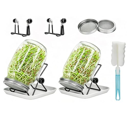Lulonpon 2-Piece Sprouts Growing Jar Kit