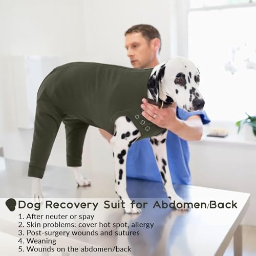 Body für Hunde Nach Op, Leckschutz Body Nach Op Hündin Beinschutz Hunde Hinterbeine Hinterbeinschützer Hund Liegeschwielen Schutz Recovery Suit Hundebody mit Reißverschluss Hinten(Moosgrün, L)