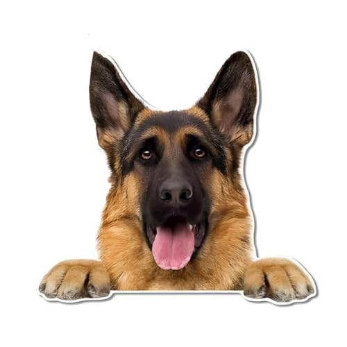 Autoaufkleber Belgische Malinois Aufkleber 18cm(7.1 Inch) Be