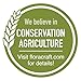 FloraCraft Decorative Straw Bale 2 Piece 2.5 Inch x 2.5 Inch x 5 Inch Natural