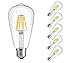6W Dimmable Vintage Edison Style Light Bulb- Incandescent LED Bulb- E26 Base,ST64(ST21) 550LM,Warm White (2700K-3200K),Clear Glass Cover,Equivalent to 60w- 6 Pack- For Indoor Use
