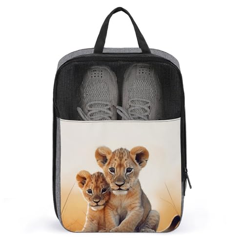 Sac à chaussures anti-poussière et sac de rangement suspendu gris pour linge