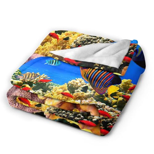 Plaid de voyage flanelle poisson idéal pour canapé
