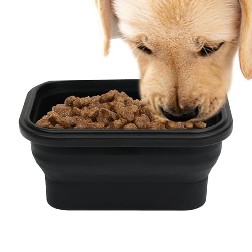 Erconsso Cuenco portátil para perros, plato compacto higiénico, cuenco para comer perros de viaje por carretera, plato de riego para exteriores, viajes, caminar, senderismo