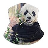 ネックウォーマー フェイスマスク マスク 笹 竹を食べているパンダ ヘッドバンド 多機能 バンダナ 防寒 防風 埃よけ 花粉症に対策 釣り サイクリング スキー 登山 秋冬用 男女兼用 フリーサイズ