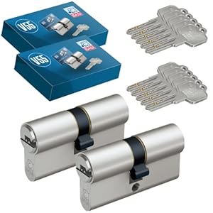 BASI V55 Profil-Doppelzylinder 2er Set Gleichschließend