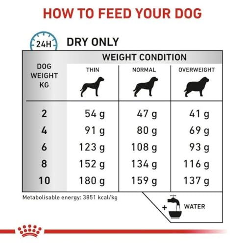 Royal Canin Veterinary Anallergenic Small Dogs | 1,5 kg | Dietary complete feed for small dogs | Can play its part in minimising the risk of nutrient intolerances - Image 3