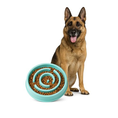 Image of Slow Feeder Bowl | Round Maze Food Bowl for Dogs and Cats | Anti Choking Puzzle Bowl | Anti Slip Interactive Feeding Dish | Durable & Easy to Clean | Anti Bloat and Aids Digestion (Blue)