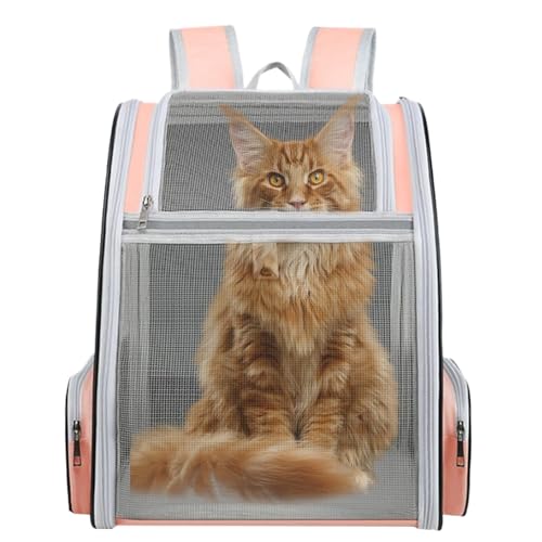 Mochila para gatos ergonómica con cojín cómodo y diseño expandible de alta calidad 6