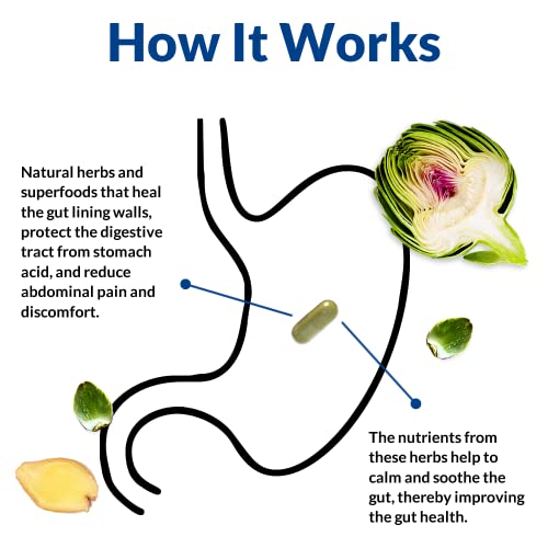 Image of Holistic Health Labs Gut Alive - All Natural Support to Fight IBS, Heartburn, Acid Indigestion, Acid Reflux, Bloating & Gas. Unique Formulation (60 Count (Pack of 2))