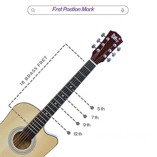 Image of BLUEBERRY 38C, Acoustic Guitar Kit with Bag, Strap, One Pack Strings And Picks - 38 Inch (Natural)