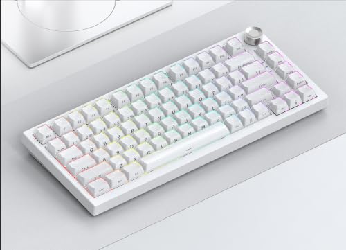 Image of 136 Keys Crystal Pudding Keycaps, OEM Profile Side Printed Keycaps Set, ABS+PC Double Shot for MX Switches Mechanical Keyboard(White)