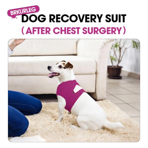 Image of BRKURLEG Dog Chest Recovery Suit After Surgery, Purple L | Dog Chest & shoulder Wound Cover, Breathable & Soft Anti-Licking Wound Vest, Not for Spay /Neuter Surgeries, Cone Alternative