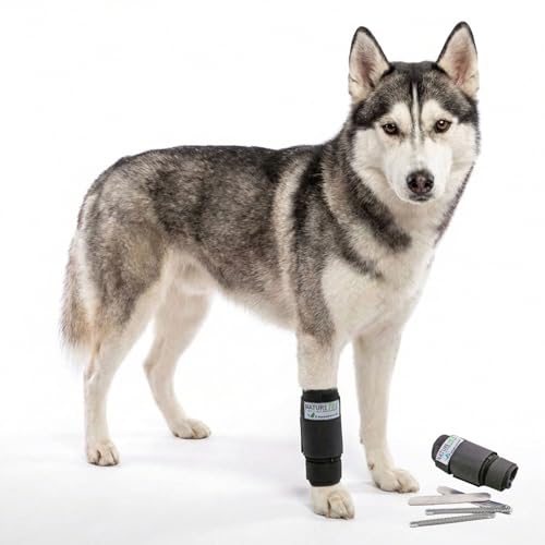 Nature Pet Premium Hundebandage Vorderbein die vielseitigste Handgelenkbandage für Hunde auf dem Markt - Gelenksbandage Hund - Durchtrittigkeit wirksam behandeln (L)