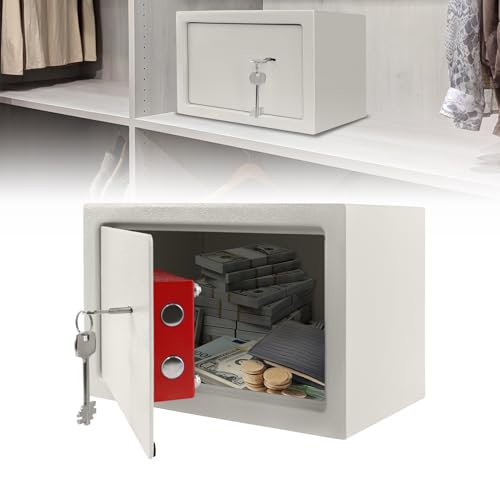 Froadp Cassaforte per Mobili con Serratura a Chiave Doppia, 2 Chiavi e Viti di Fissaggio, Cassetta di Sicurezza da Parete per Casa, Hotel e Oggetti di Valore, Argento (L - 31 x 20 x 20 cm)