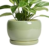 SQOWL 8 Inch Plant Pot - Ceramic Planters with Drainage...