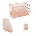 OPNICE Desk Organizer, 4-Tier Desktop File Organizer with Drawer and 2 Pen Holders, Office Desk Accessories, File Sorters, Workspace Organizers for Office Supplies(Rose Gold)
