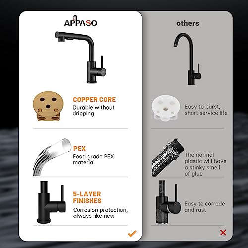 APPASO Wasserhahn Küche Schwarz, Hochdruck Küchenarmatur Armatur mit Brause Ausziehbar, Einhebel Ausziehbarer Spültischarmatur 1 Loch 360° Schwenken