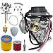 LTZ400 Carburetor Fits for Suzuki LTZ 400 LT-Z400 2003 2004 2005 2006 2007 Quadsport ATV Carb with Air Filter Fuel Petcock Valve