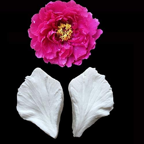 Amazon Co Jp 2個 セット牡丹花びらと葉の形シリコンサトウキビ金型 フォンダンケーキ装飾ツール シリコン石鹸金型 Diy 工具 ガーデン