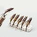 Vdaxvme 5pcs Fly Fishing Bait Dry / Wet Flies Stone Fly Artificial Bait Fast Sinking Fishing Artificial