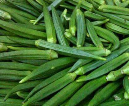 Green World F1 OKRA BHINDI VASANT SEEDS FOR KITCHEN GARDENING (200 seeds) (B09KNPCHWN) Amazon Price History, Amazon Price Tracker