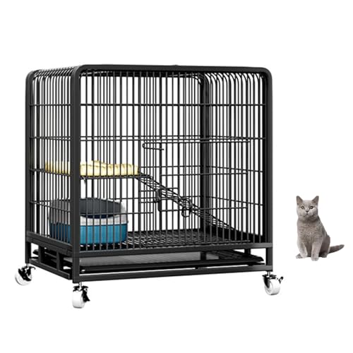 Parc pour chat détachable intérieur extérieur pour 1 à 2 chats