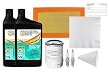 UGP Universal Generator Parts Replacement for Generac 0J93230SSM 20Kw-22Kw SM 999 Maintenance Kit (Synthetic Oil)