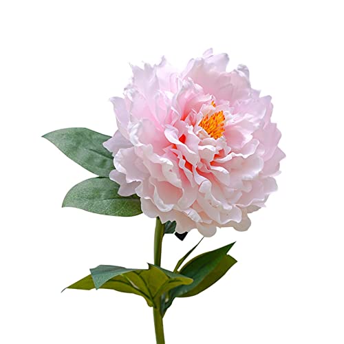 Lanterne solaire pivoine étanche pour décoration de jardin et pelouse extérieure