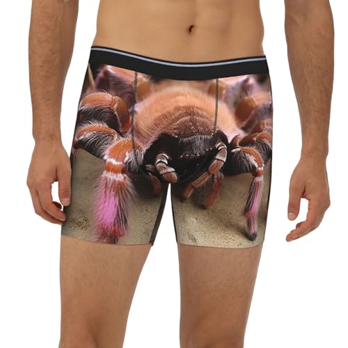Mens Boxer Briefs Soft Breathable Breathable Stretch Boxer Briefs Mens Boxer Briefs Large Mexican Tarantula Men2