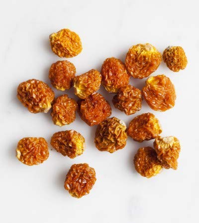Dried Organic Golden Berries - Northwest Wild Foods - Healthy Antioxidants Fruit - for Granola, Morning Snack, Baking, Trail Mix (1 Pound)