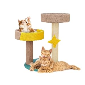 Amazon Basics Multi-Color Hanging Starfish Cat Tree with Platform & Scratching Posts | Innovative Design for Playful Cats and Kittens | Cozy Living Spaces | Durable Carpeted Construction