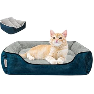 Washable Cat Beds for Indoor Cats with Removable Cushion/Pillow, Easy to Wash Small Dog Bed with Side, Large Rectangle Kitten Bed Cuddle Puppy Bed with Anti-Slip Bottom, Blue 20 Inch