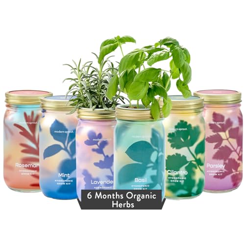 Modern Sprout New & Improved Mason Jar Grow Set 6pk, Indoor 