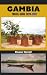 GAMBIA TRAVEL GUIDE 2026-2027: Discover the Gambia River, Sandy Shores, Nature Reserves, and Authentic Local Experiences