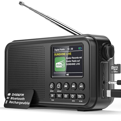 Mesqool Radio Numérique DAB/FM avec Bluetooth,Batterie Rechargeable de 3000mAh,Prise en Charge des Cartes TF de 64Go, Type-C, Prise Casque, 40 Stations FM et 40 DAB Préréglées, Modes EQ, Double Alarme