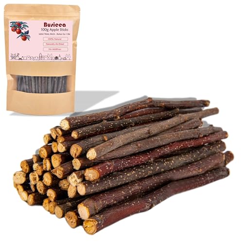 Busieea Premium Natural Apple Sticks - 100g/3.52 OZ MINI Trial Pack - Perfect for 1 Pet, Molar Chew Treats for Rabbits Chinchillas Guinea Pigs Hamsters Small Animals