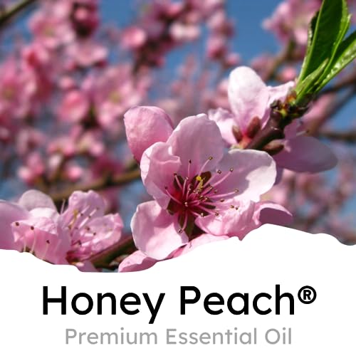 Air Jungles AJC001 Honey Peach Scent Car Air Freshener Clip thumb #1