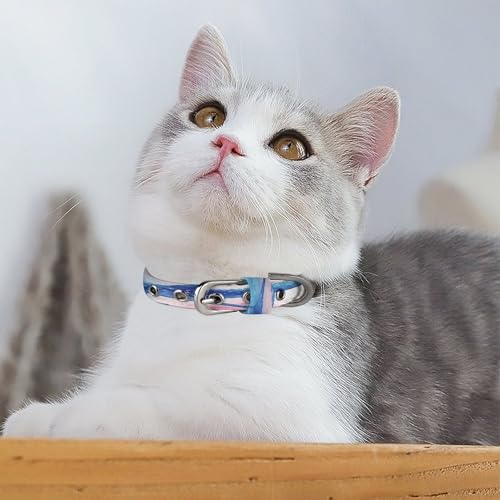 Collar para mascotas de rayas marinas ideal para paseos veraniegos 6