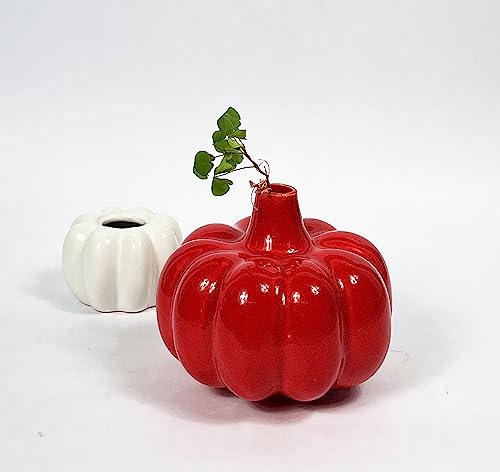 Image of Bliss Hohm Decorative Ceramic Flower Vase for Home Decor and Gifting, Flower Vases for Living Room & Office Decor, Decoration Items, Wall Tabletop showpieces (Pumpkin Red)