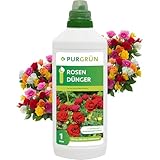 Purgrün