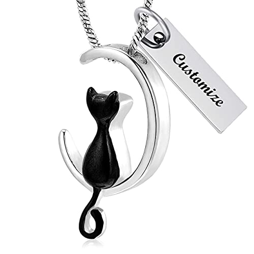 Collier urne funéraire pour cendres de chat pendentif souvenir en argent et noir