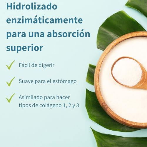 Colageno-Hidrolizado-Puro-Proteina-en-Polvo-Apta-Keto-Peptidos-de-Colageno-Bovino-Sin-Sabor-400-gr-100-Libre-Pastoreo-Disolucion-Instantanea-40-Dosis-de-Igennus