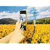 Hagoromo No. 82125 Axa Photography Assistant Wire