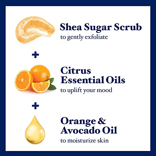 Dr Teal's Shea Sugar Body Scrub, Citrus With Essential Oils & Vitamin C, 19 Oz (Pack Of 3) #TOP1