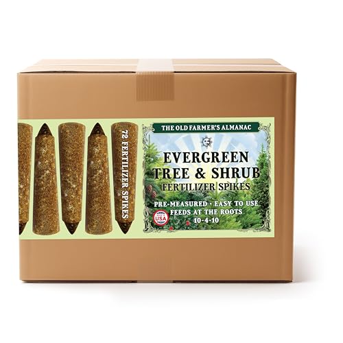 Old Farmer's Almanac Evergreen Spikes